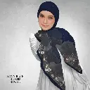 hd0208 (1).webp